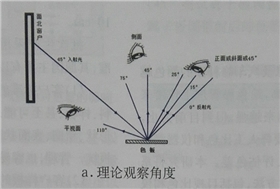 理論觀察角度.jpg